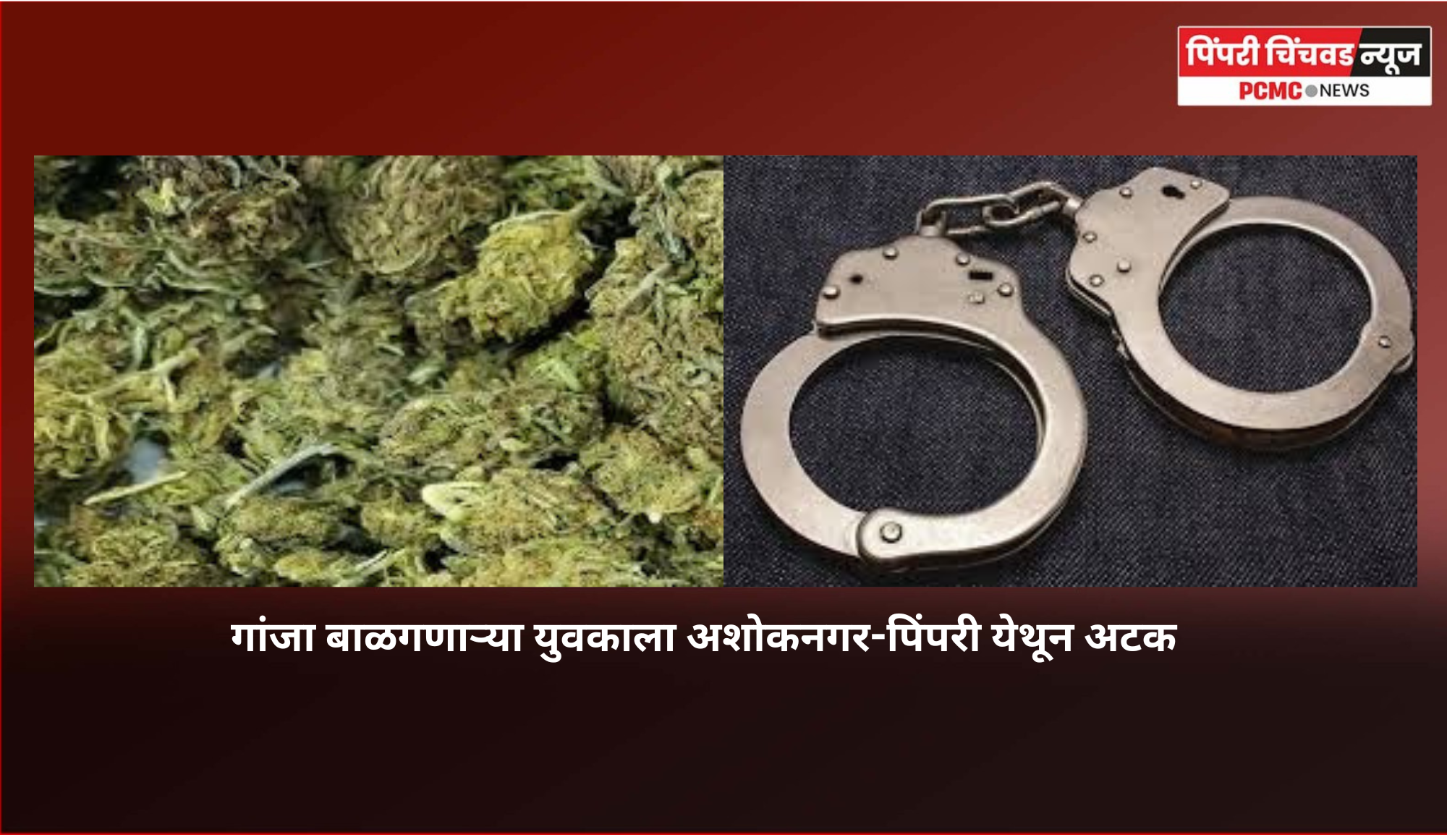 गांजा बाळगणाऱ्या युवकाला अशोकनगर-पिंपरी येथून अटक
