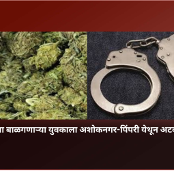 गांजा बाळगणाऱ्या युवकाला अशोकनगर-पिंपरी येथून अटक