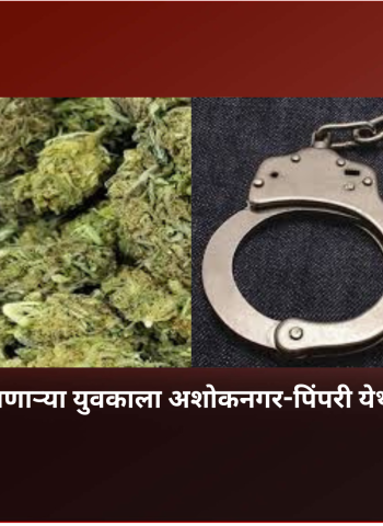 गांजा बाळगणाऱ्या युवकाला अशोकनगर-पिंपरी येथून अटक