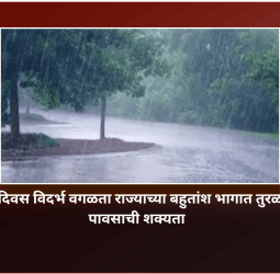 पुढील दोन दिवस विदर्भ वगळता राज्याच्या बहुतांश भागात तुरळक ठिकाणी पावसाची शक्यता