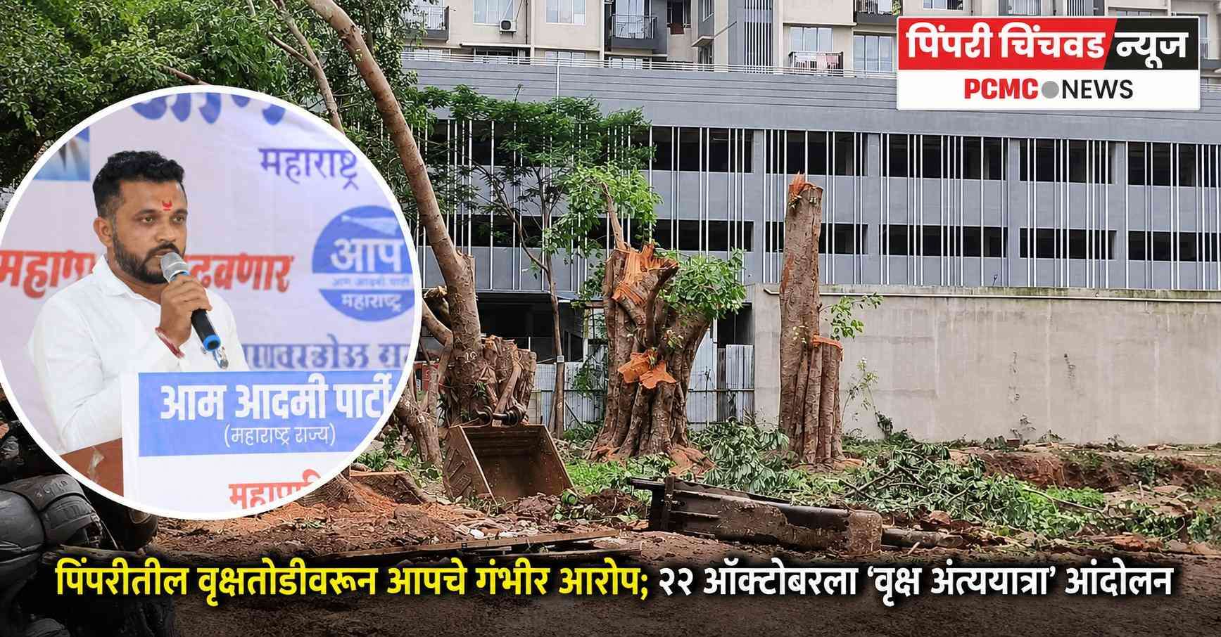 पिंपरीतील वृक्षतोडीवरून आपचे गंभीर आरोप; २२ ऑक्टोबरला ‘वृक्ष अंत्ययात्रा’ आंदोलन