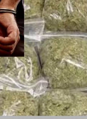 निगडीमध्ये ११ हजारांचा गांजा जप्त; आरोपीस अटक