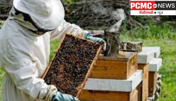 मधुमक्षिका पालन प्रशिक्षण शिबिरात सहभागी होण्याचे आवाहन