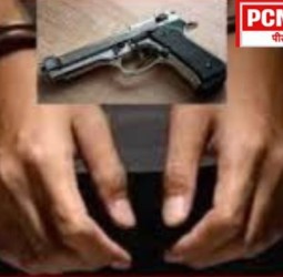 जिवंत काडतूसासह पिस्तूल बाळगणाऱ्या युवकाला अटक